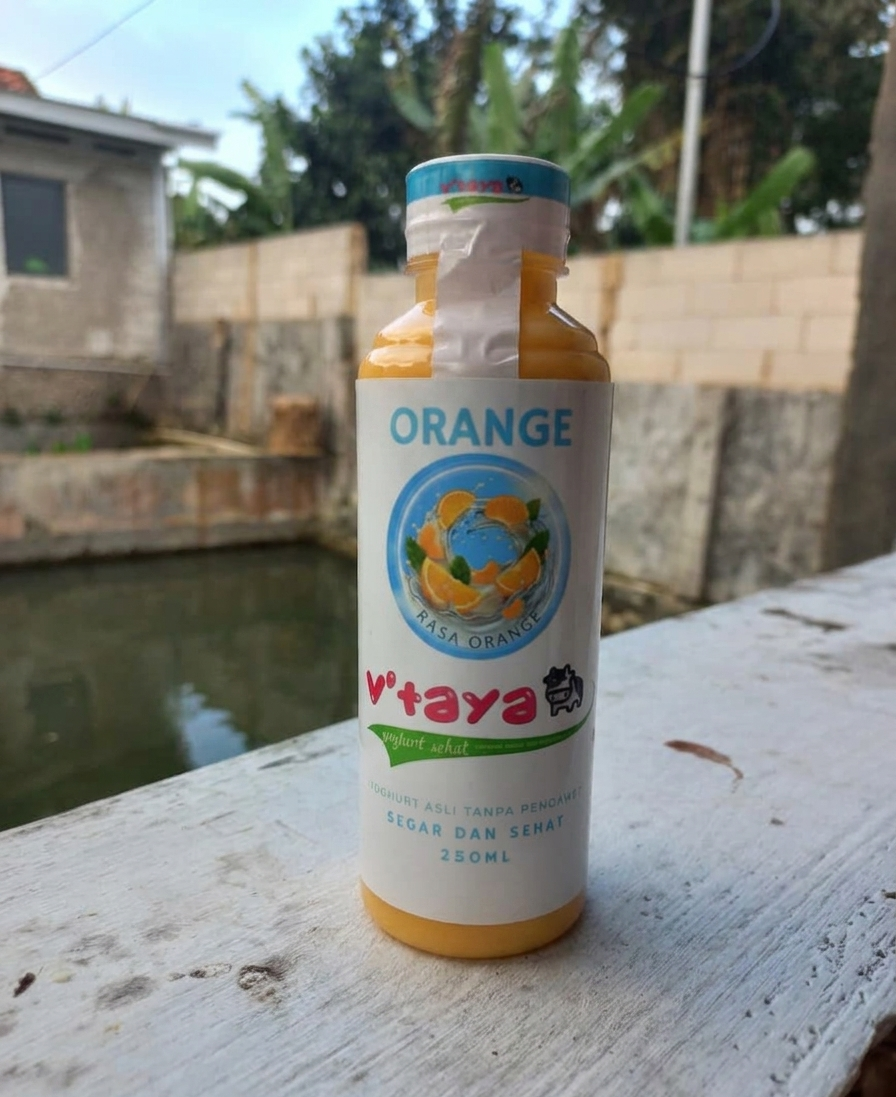 Yoghurt Orange Botol